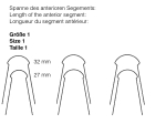 Nickel-eitane thermo-actif, lingual, Taille 1