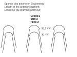 Nickel-titane thermo-actif, lingual, Taille 2